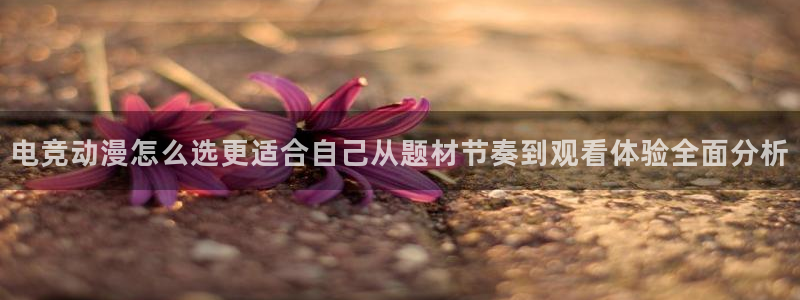 韩漫漫画彩色在线阅读:电竞动漫怎么选更适合自己从题材节奏到观看体验全面分析配图